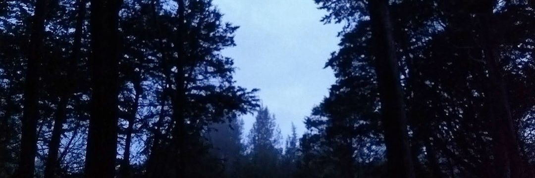 Camimadrigalg's profile banner image