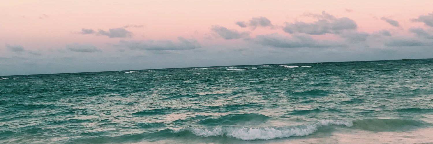 taylorralise's profile banner image