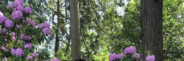 Carissa_Tudor Profile Banner