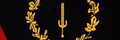 S_saucin's profile banner image