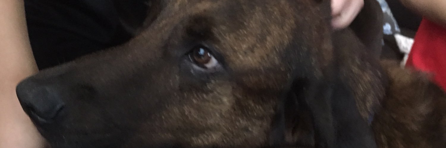 bigemachine35's profile banner image