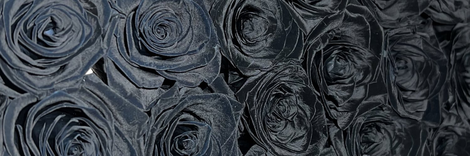 kristen___b's profile banner image