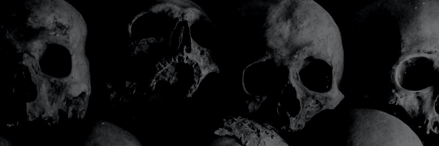 witch_hare's profile banner image
