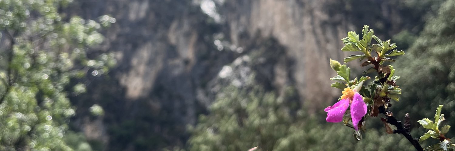 EdgarCaroM's profile banner image
