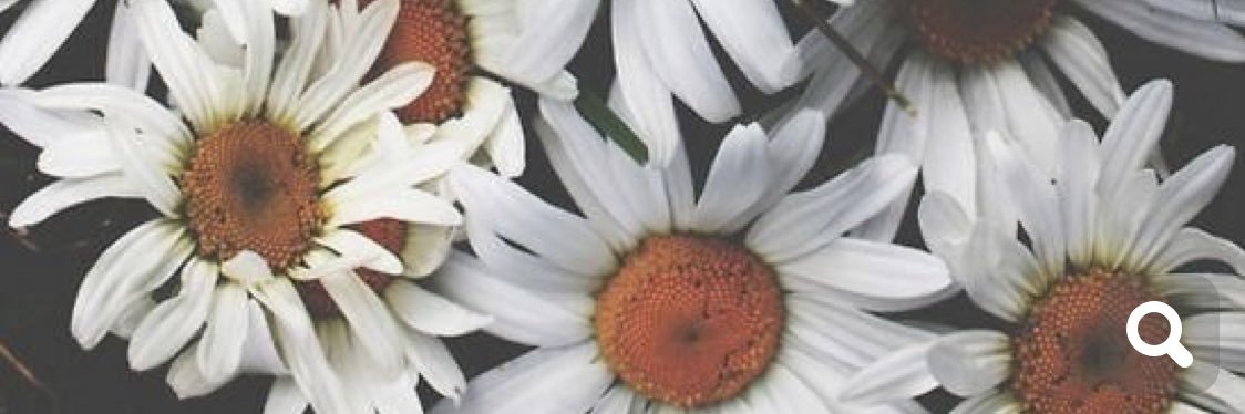 crittle_10's profile banner image