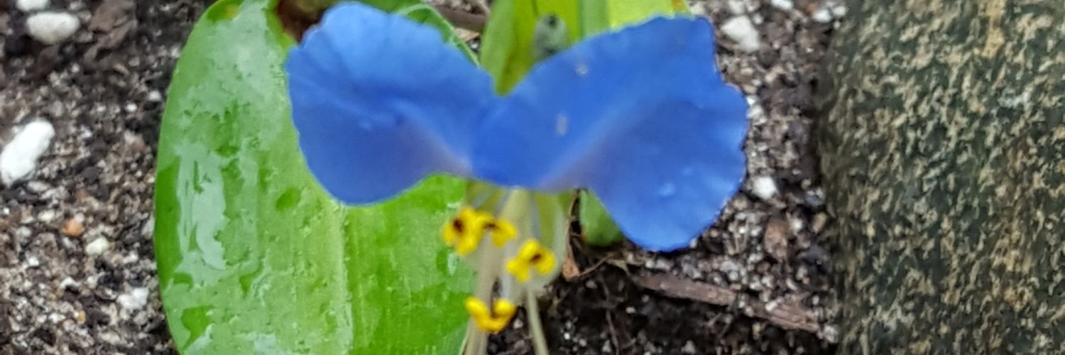 vanns7791's profile banner image