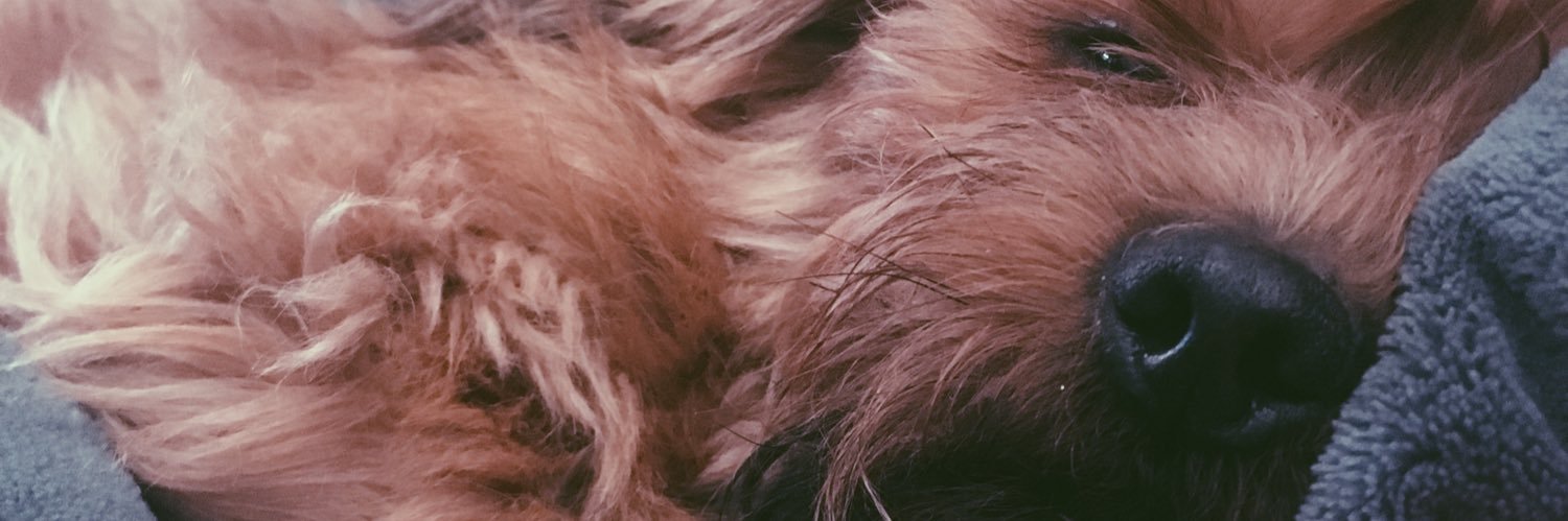 MajoMatassi's profile banner image