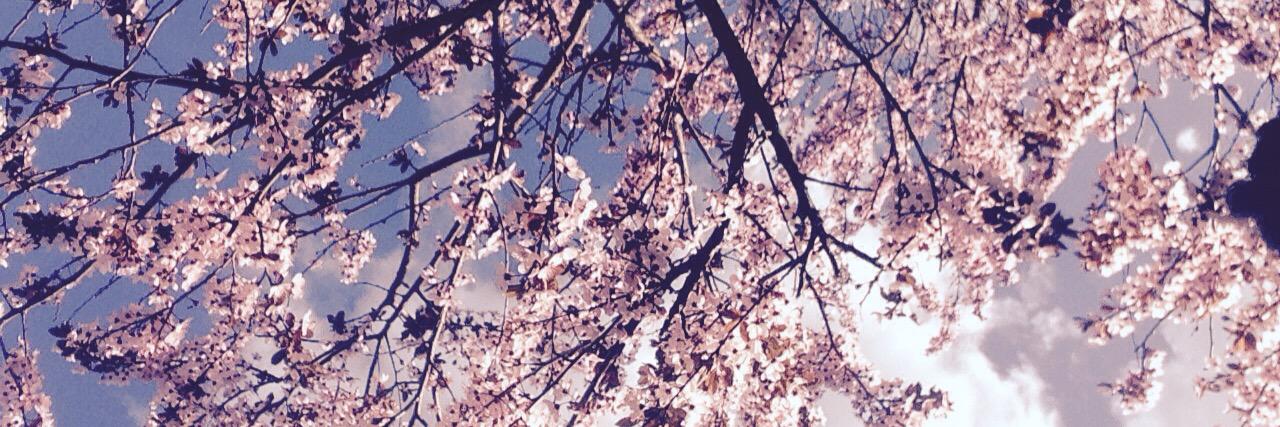 elle_a_w's profile banner image