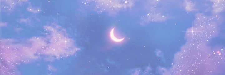 Foxkins's profile banner image
