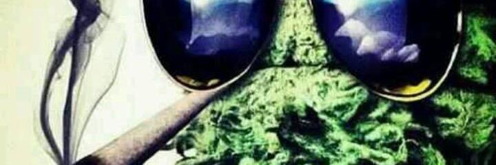 billybickle12's profile banner image