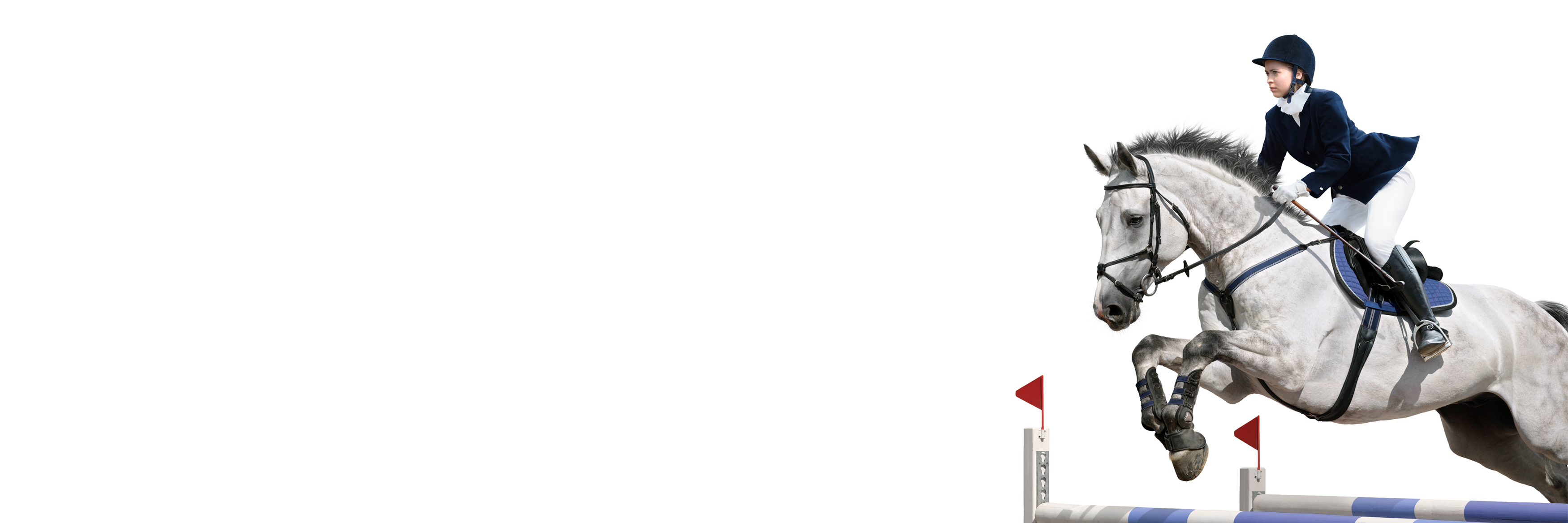 BenchmarkEquine's profile banner image