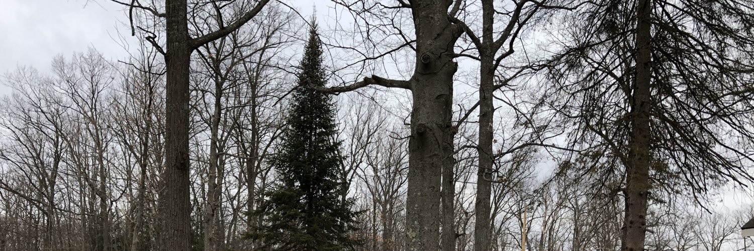 melodeebourdeau's profile banner image