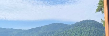sushurwitz's profile banner image