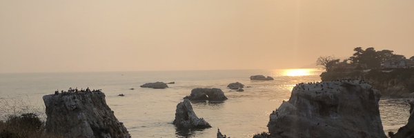 totertotsalad Profile Banner