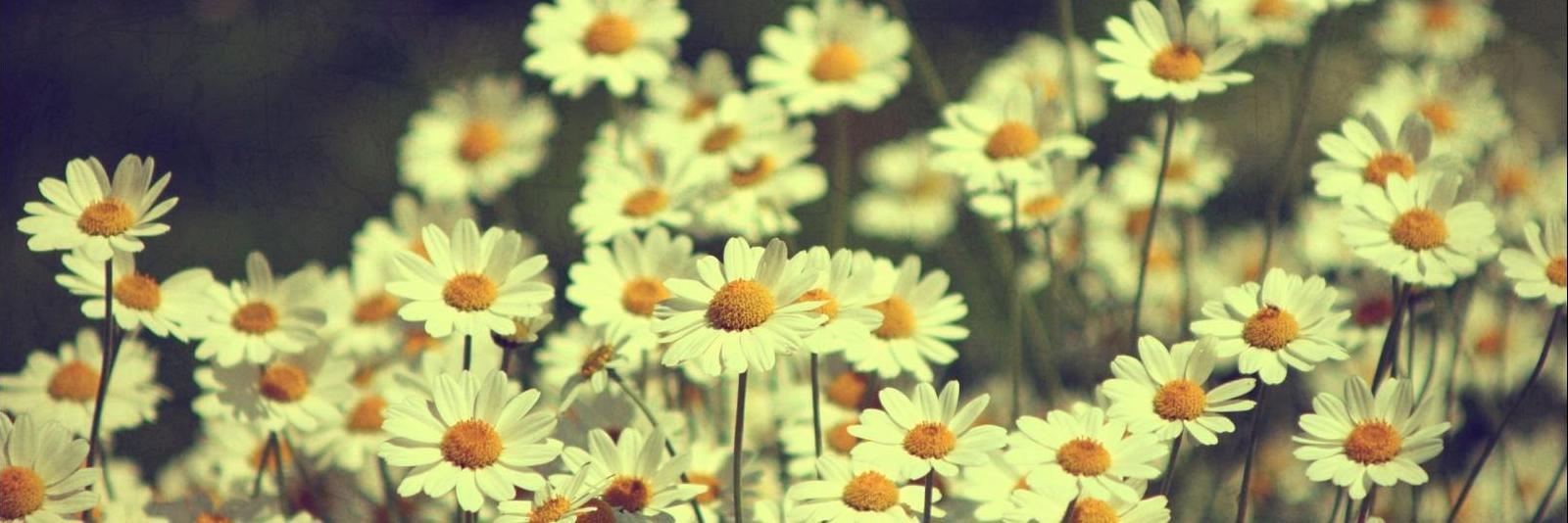 agusvivass's profile banner image