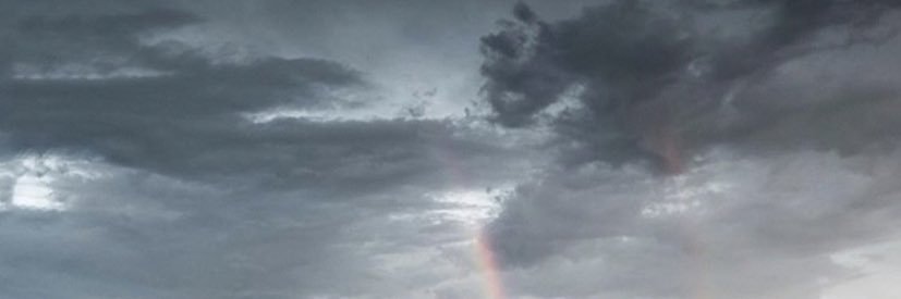 toreytr's profile banner image