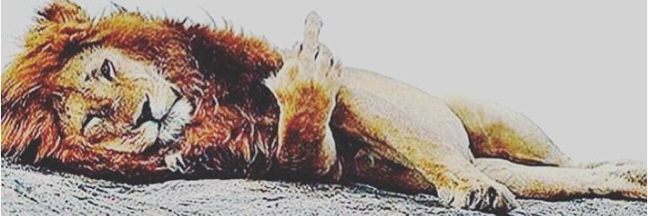 the_strange__1's profile banner image