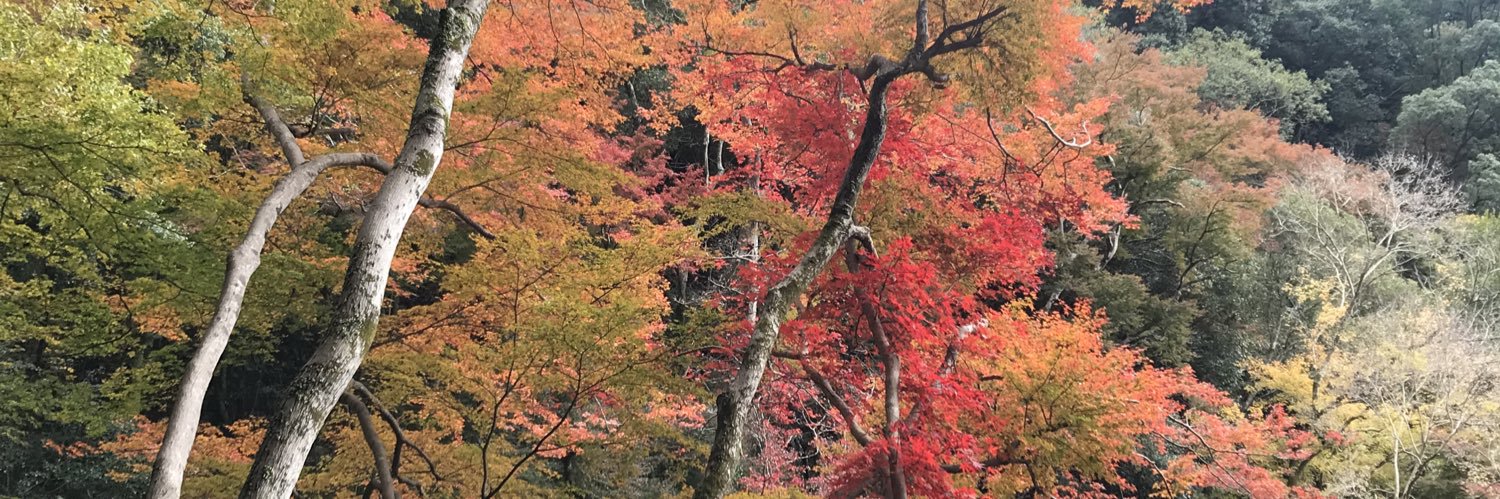 michitakayan's profile banner image