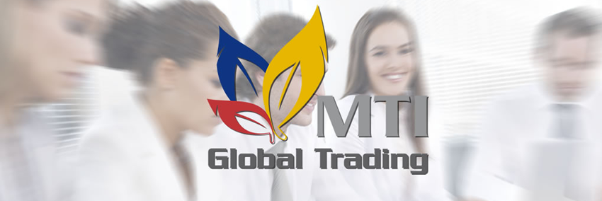 MTI_Global_T's profile banner image