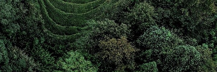 mxmx8000's profile banner image