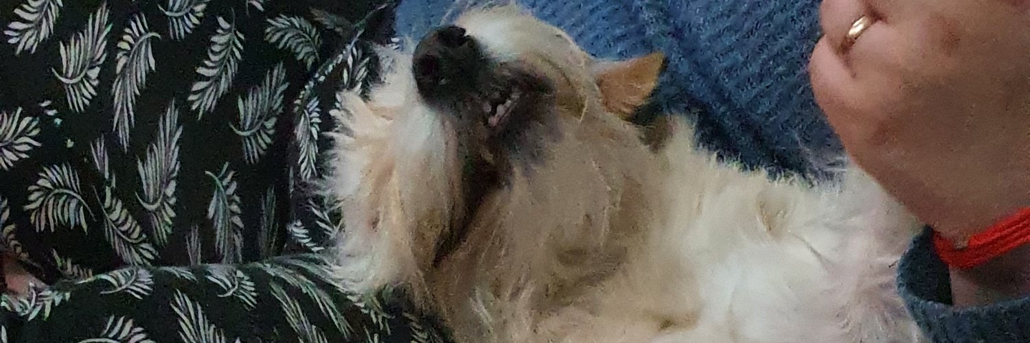 Jotacelo's profile banner image