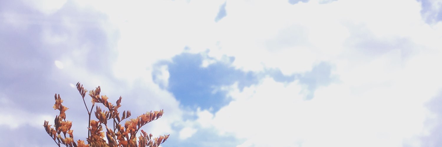 Rossopenis's profile banner image