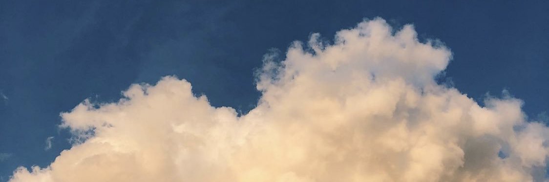 MaddyConroy30's profile banner image
