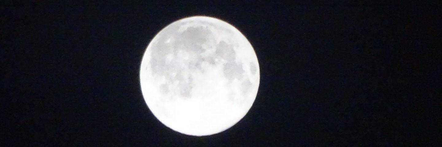 ca_m_12's profile banner image