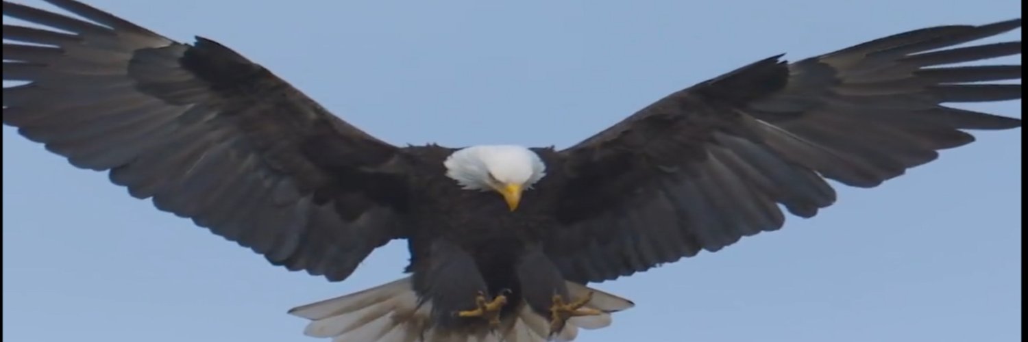 lynedlgr's profile banner image