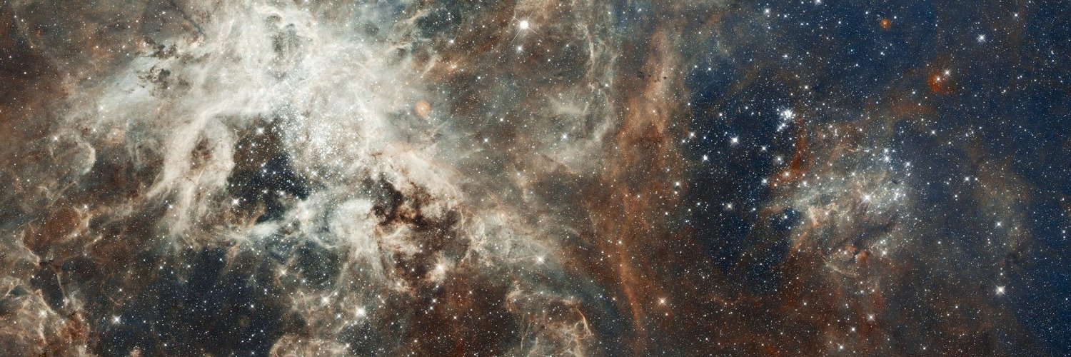 PaoCorreaB's profile banner image