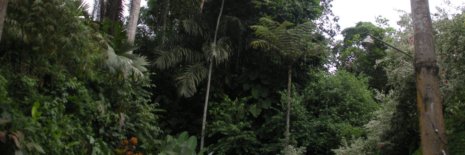 arcanoblanco's profile banner image