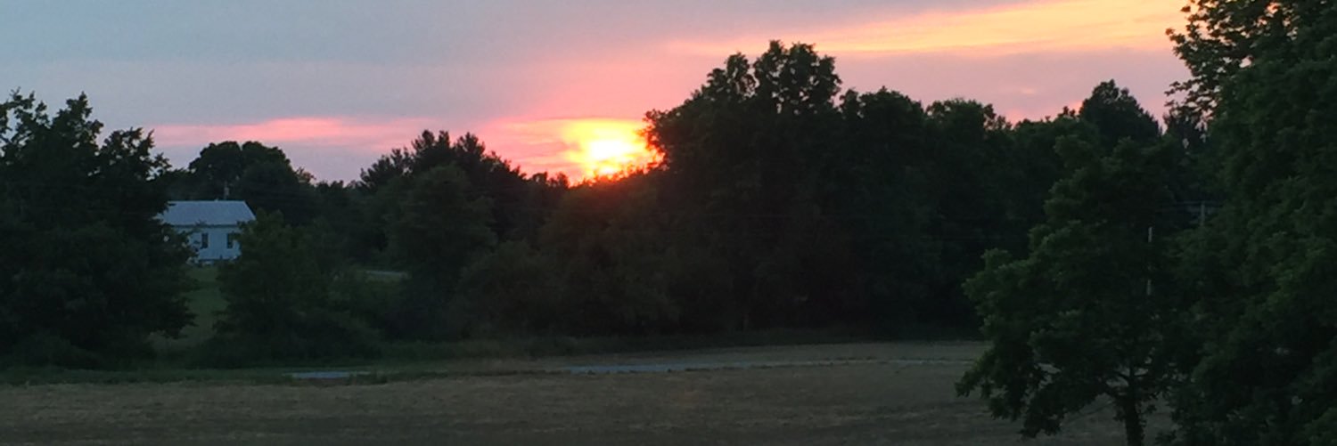 Vicki_Hampton's profile banner image