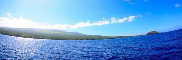 pfullerusa Profile Banner