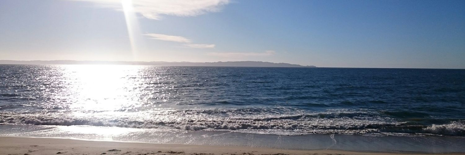 szf_25_'s profile banner image