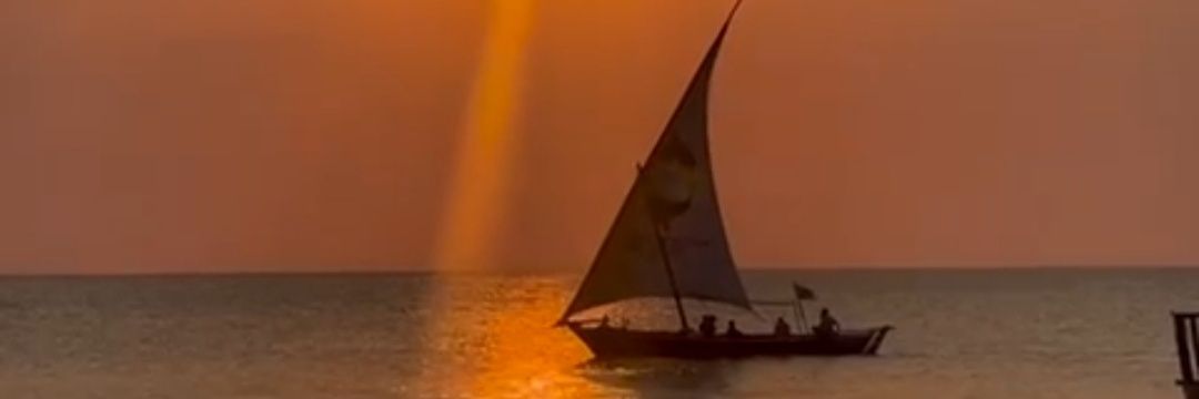 ArkyAtif's profile banner image