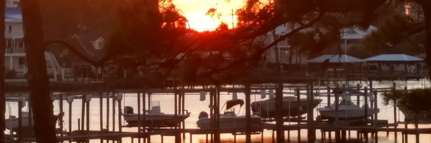 Shawn Campbell banner