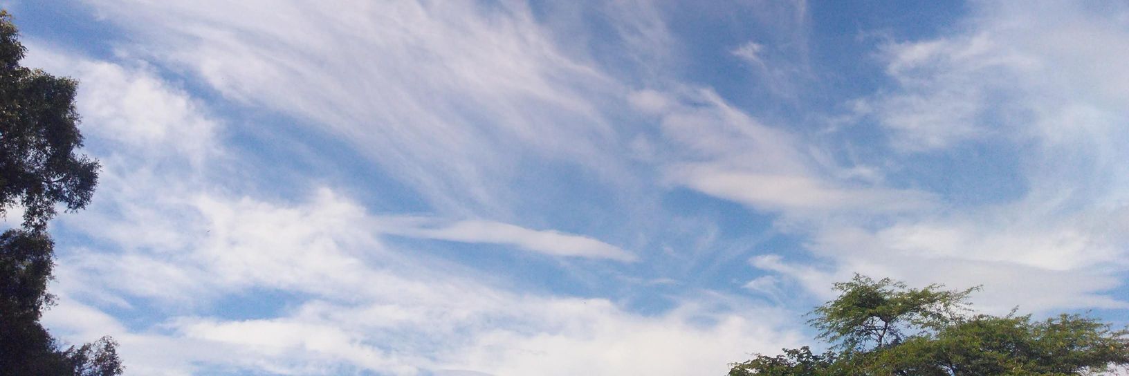_Caaamiilaa_'s profile banner image