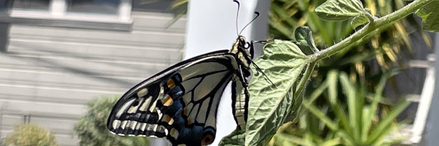 Hap (he/him) banner