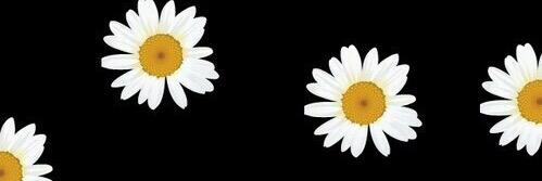 fernandadavilaa's profile banner image