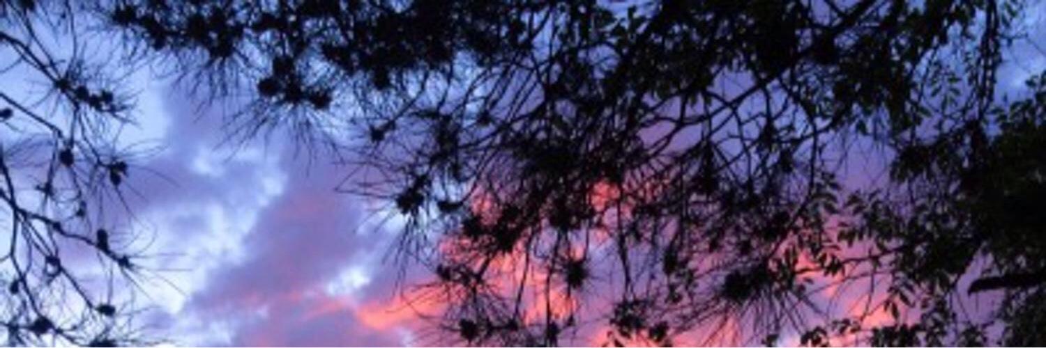 aarynffs's profile banner image