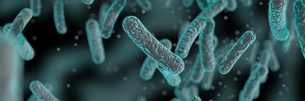 MicrobesInfect Profile Banner