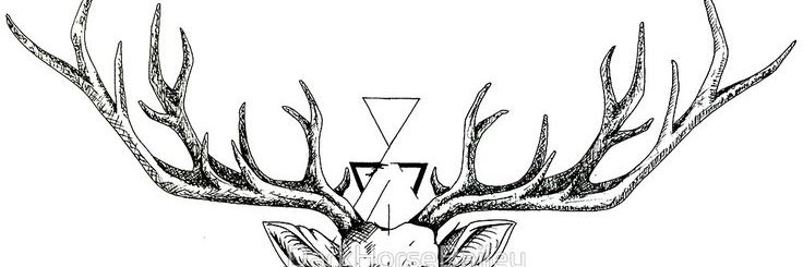 AndyTerciotti's profile banner image