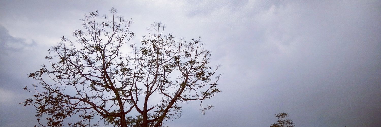 sksahoo375's profile banner image
