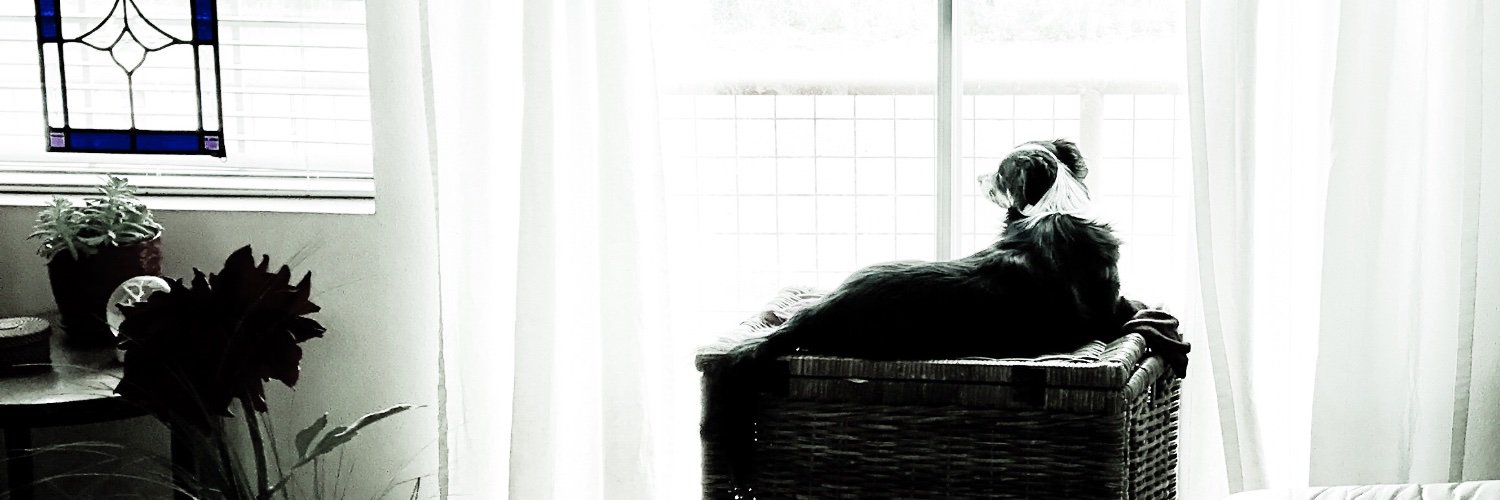 wendylit3d's profile banner image
