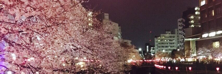 yoosan815's profile banner image