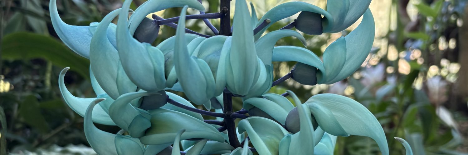 澄飛 banner