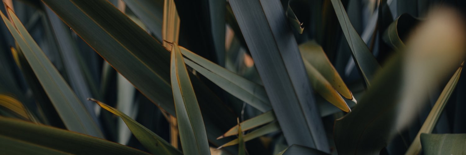 Brian Wu banner