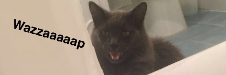 madr0's profile banner image