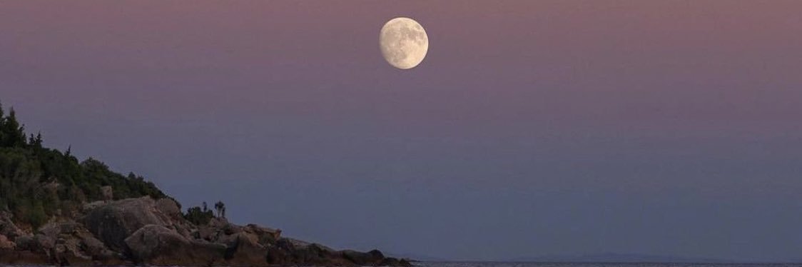 allmyyloving's profile banner image