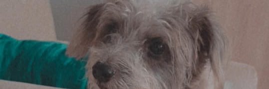 JChaguiD's profile banner image